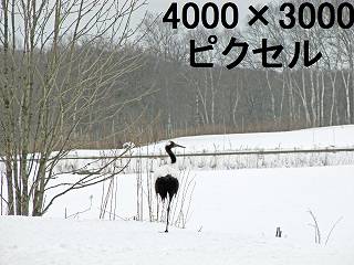 56