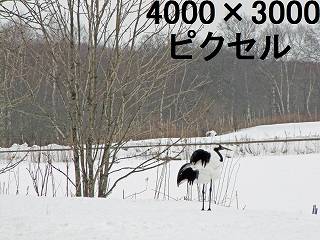 57