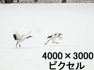 58