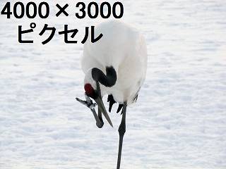 70