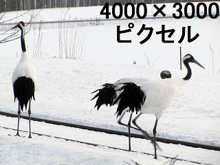 80