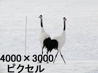 84