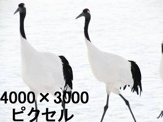 85