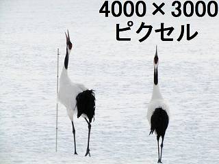 93