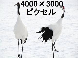 94