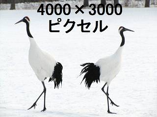 96