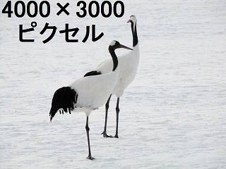 97