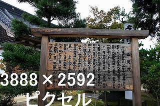 32
