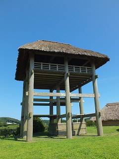 37