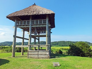 39